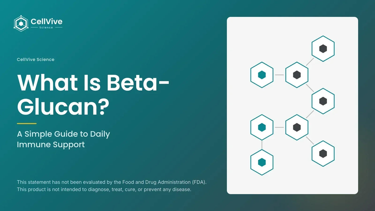 What is beta glucan? A simple guide to daily immune support article graphic